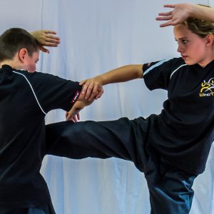 Slider 6 - Wing Tai Kampfsport und Kampfkunst Schule in Aschaffenburg